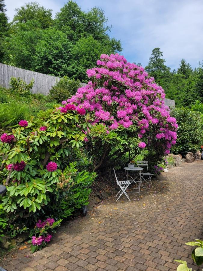 Gaestezimmer Haus Talblick 라우텐탈 외부 사진